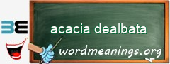 WordMeaning blackboard for acacia dealbata